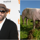 Image for article titled Nicolas Cage to star in truffle-hunter movie and we're already camped outside the theater